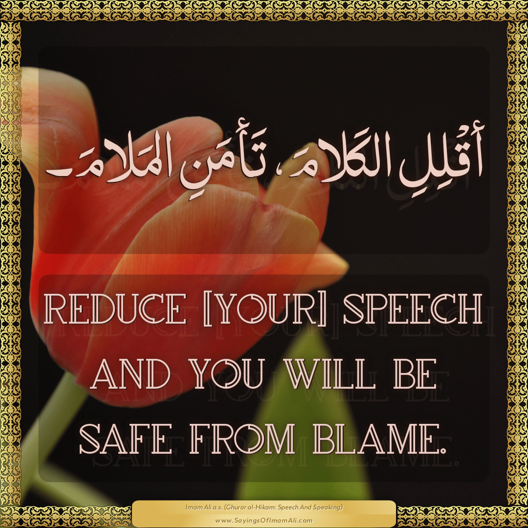 Reduce [your] speech and you will be safe from blame.